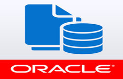 Oracle数据库管理工具有哪些?-北京完美线上平台,完美（中国）公司