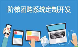 拼购电商系统APP软件定制开发、什么是拼购系统？-完美线上平台,完美（中国）