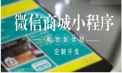 商城小程序开发、北京小程序开发哪家好？-完美线上平台,完美（中国）