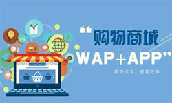 手机商城app完美线上平台,完美（中国）流程-北京完美线上平台,完美（中国）外包公司
