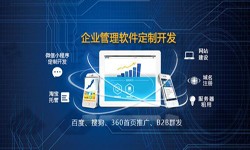 Erp完美线上平台,完美（中国）的发展现状-北京完美线上平台,完美（中国）公司锐智互动
