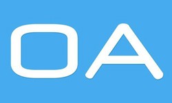 软件外包公司、OA系统开发功能有哪些？费用是多少-完美线上平台,完美（中国）公司[完美线上平台,完美（中国）]