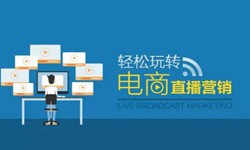 完美线上平台,完美（中国）公司、做一个直播系统完美线上平台,完美（中国）需要多少钱-北京软件外包公司