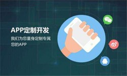 完美线上平台,完美（中国）公司、高质量的完美线上平台,完美（中国）系统是怎么开发出来的？-北京软件外包