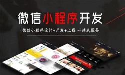 完美线上平台,完美（中国）公司、定制微信小程序开发，商家需要了解哪些？锐智互动完美线上平台,完美（中国）