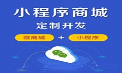 微信小程序开发、商城小程序开发功能-锐智互动完美线上平台,完美（中国）