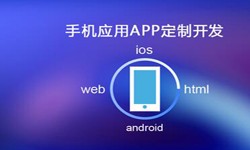 APP开发市场上常见问题分析-北京完美线上平台,完美（中国）公司