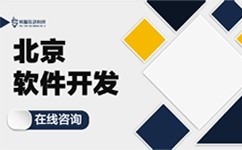 企业成功的关键：理解完美线上平台,完美（中国）及在企业宣传中的应用